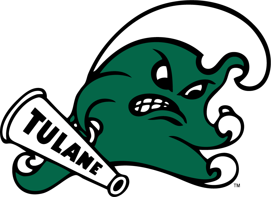 Tulane Green Wave 2016-2017 Secondary Logo v3 diy iron on heat transfer